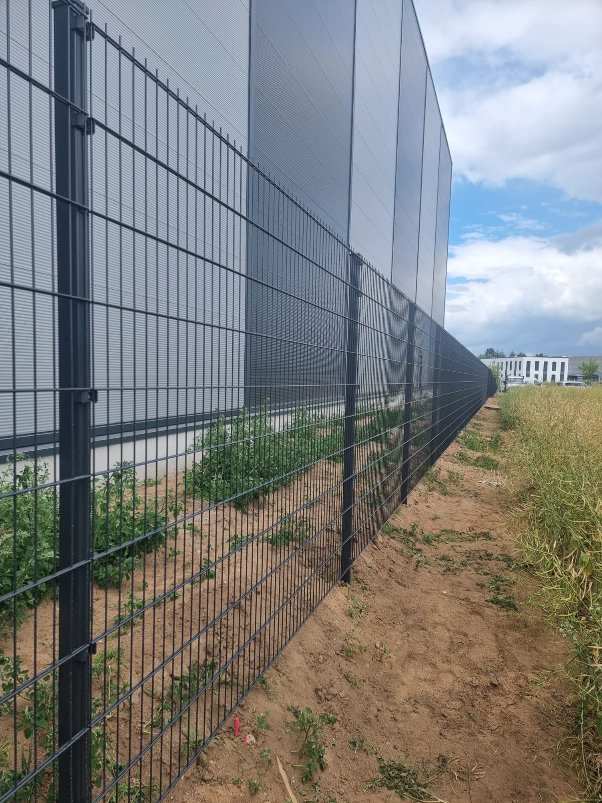 Gabionenzaun Projekt 1